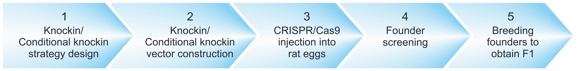CRISPR/cas9 knockin mice (any locus)
