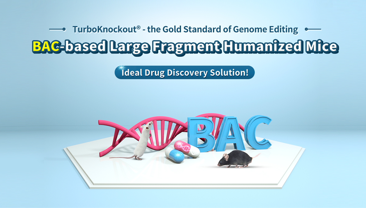 TurboKnockout® - the Gold Standard of Genome Editing BAC-targeting Large Fragment Humanized Mice Ideal Drug Discovery Solution!