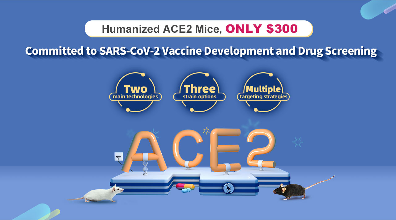 Humanized ACE2 Mice Committed to SARS-CoV-2 Vaccine Development and Drug Screening