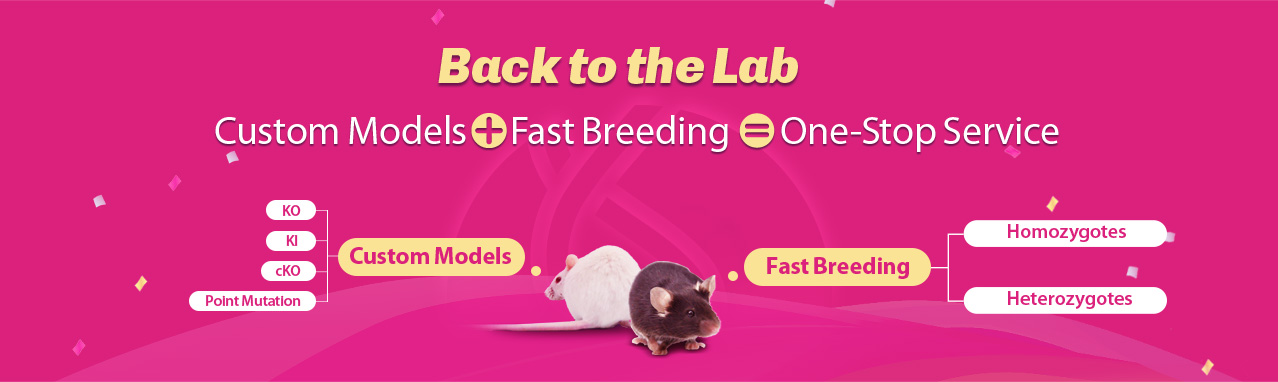 Back to the Lab Custom Models + Fast Breeding = One-Stop Service