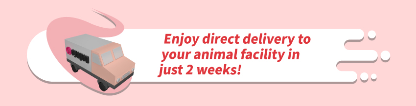 Enjoy direct delivery to your animal facility in just 2 weeks!