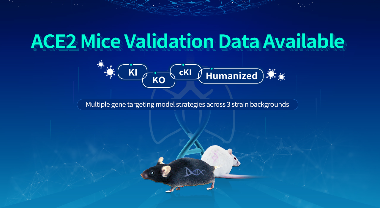 ACE2 Mice Validation Data Available