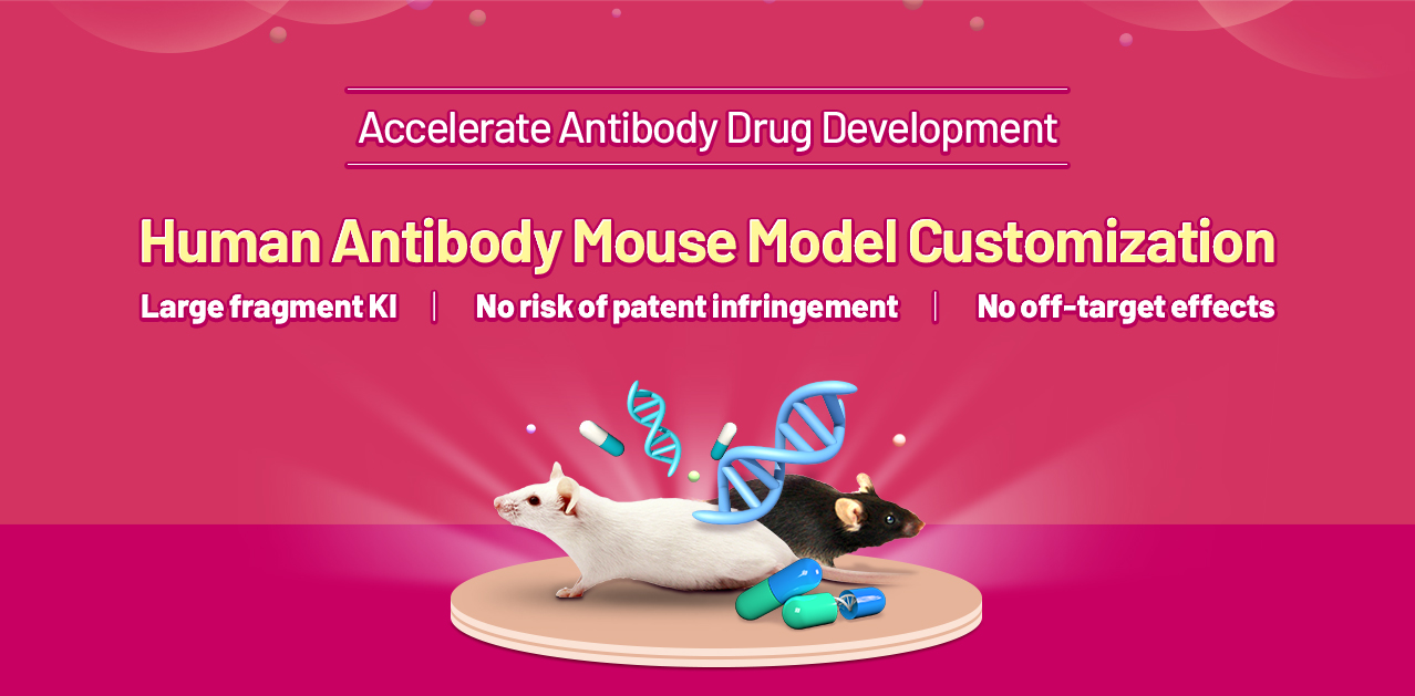 Accelerate Antibody Drug Development